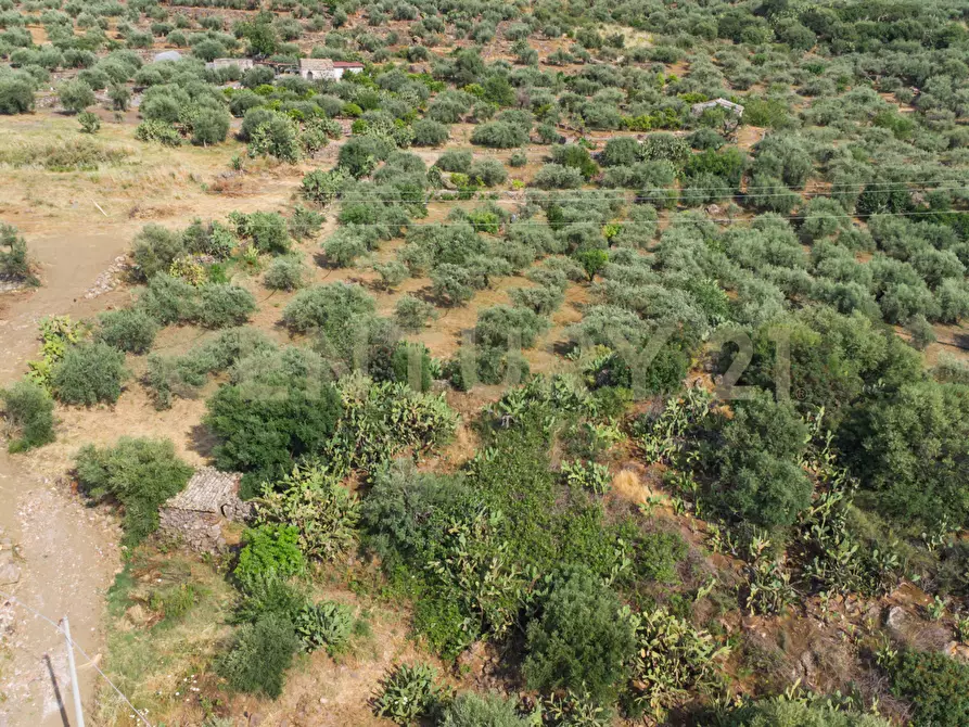 Immagine 10 di Terreno agricolo in vendita  in Via San Leo a Adrano