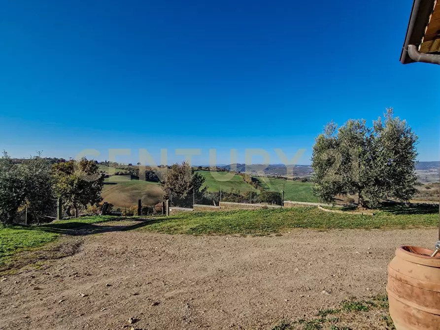 Immagine 29 di Rustico / casale in vendita  in Loc. Poderi di Montemerano a Manciano