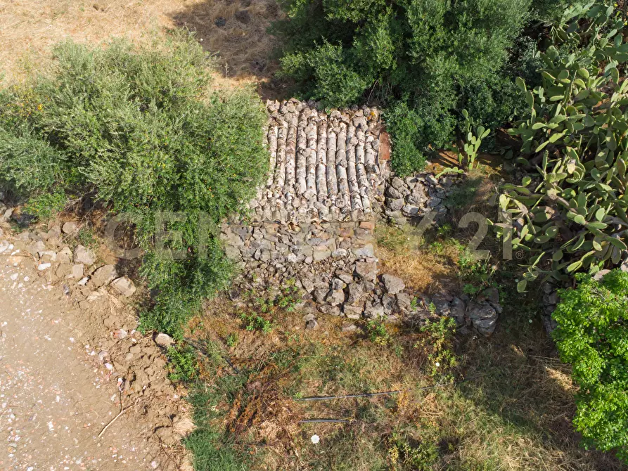 Immagine 17 di Terreno agricolo in vendita  in Via San Leo a Adrano