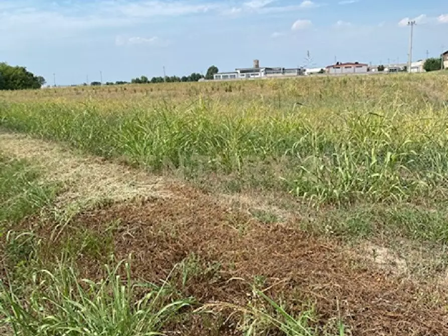 Immagine 5 di Terreno industriale in vendita  in Via le Cassere a Oppeano