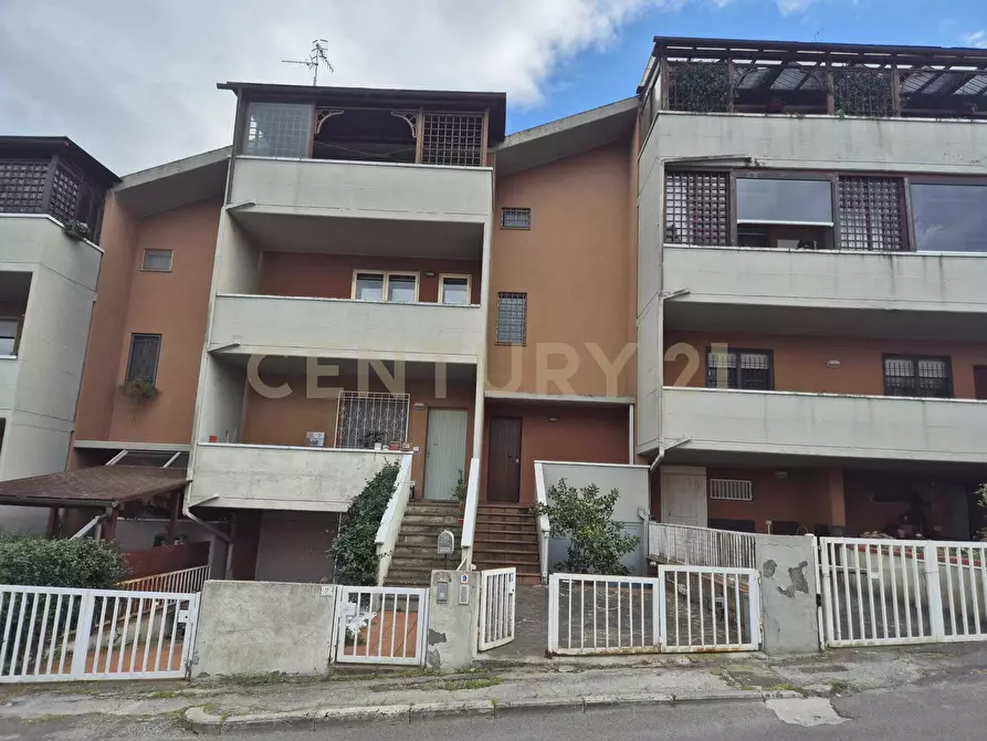 Immagine 32 di Terratetto in vendita  in via fratelli matteini 9 a Grosseto