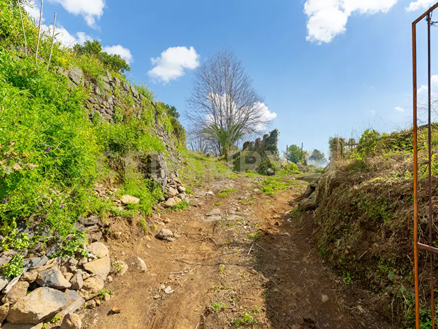 Immagine 2 di Terreno agricolo in vendita  in via giuseppe zinghirino 1 a Giarre