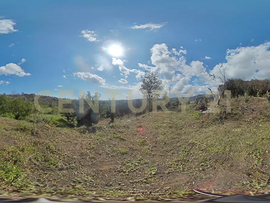 Immagine 36 di Terreno agricolo in vendita  in via giuseppe zinghirino 1 a Giarre
