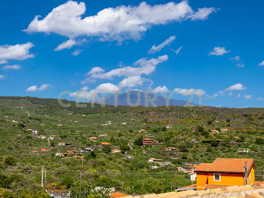 Immagine 77 di Villa in vendita  in SS284 a Adrano