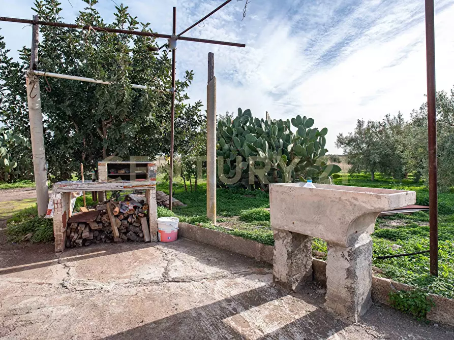 Immagine 20 di Terreno agricolo in vendita  in Contrada San Francesco snc a Paterno'