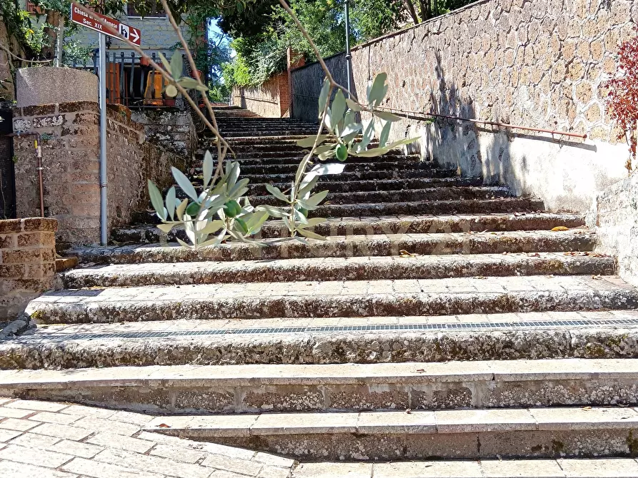 Immagine 26 di Trilocale in vendita  in Corso Regina Margherita a Proceno