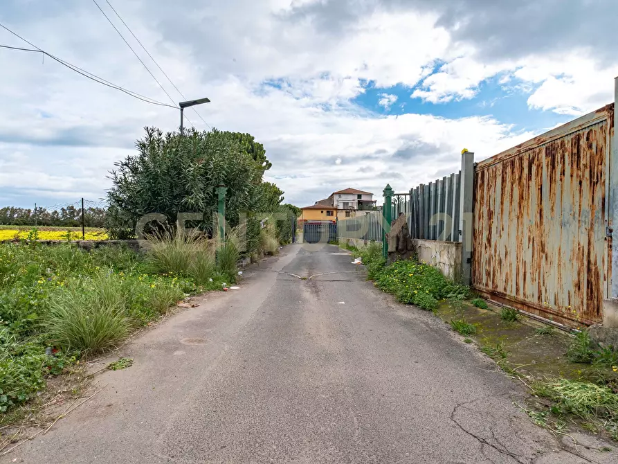 Immagine 3 di Casa semindipendente in vendita  in c.da san leonardo sottano a Carlentini