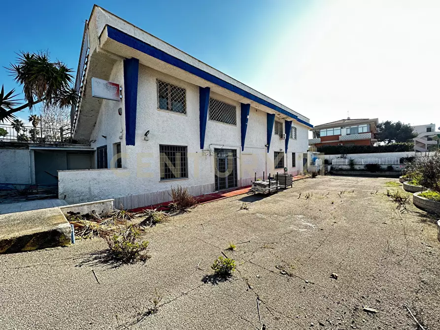 Immagine 36 di Locale commerciale in vendita  in Via Partenope 2 a Anzio