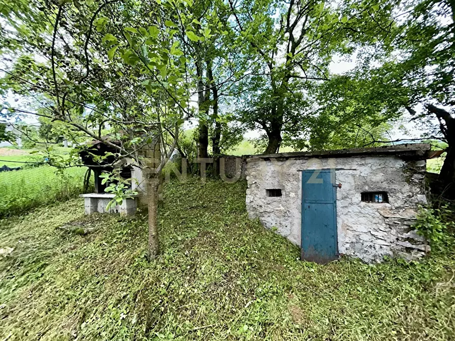 Immagine 8 di Terreno agricolo in vendita  in Contrada Tezze a Velo Veronese
