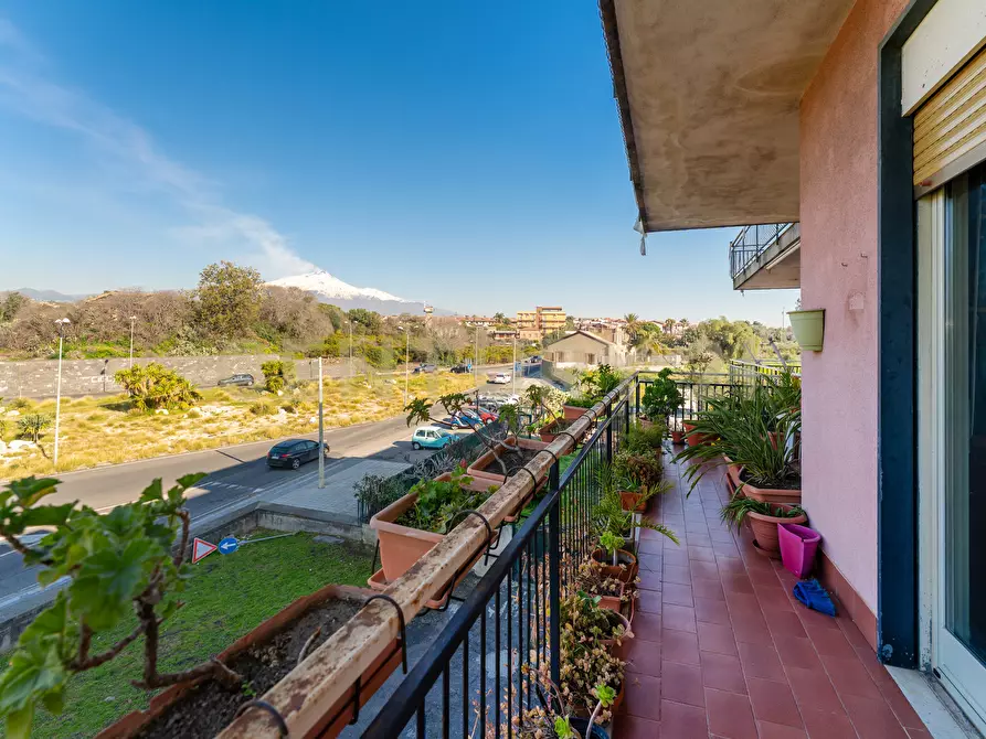 Immagine 34 di Trilocale in vendita  in Via Duca degli Abruzzi 163 a San Giovanni La Punta