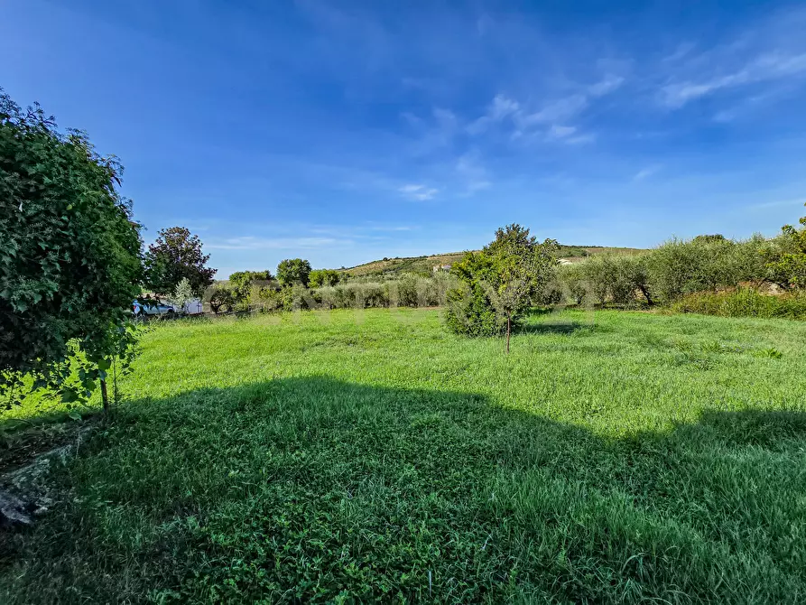 Immagine 14 di Casa bifamiliare in vendita  in Via della Collacchia a Roccastrada