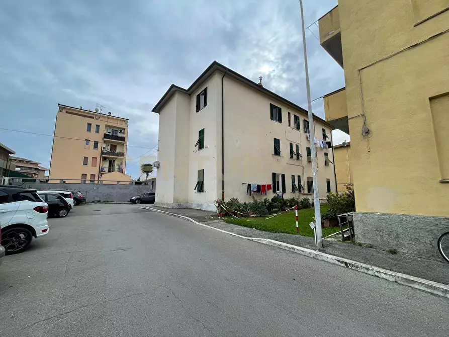 Immagine 14 di Bilocale in vendita  in Via Primo Marcelli 5 a Orbetello