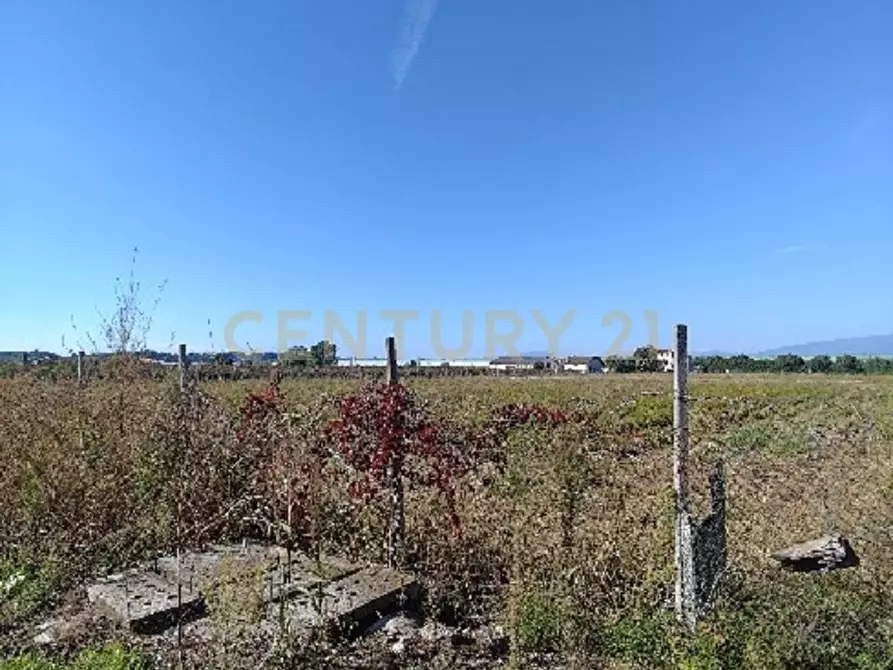 Immagine 2 di Terreno agricolo in vendita  in Via Siberie a Sommacampagna