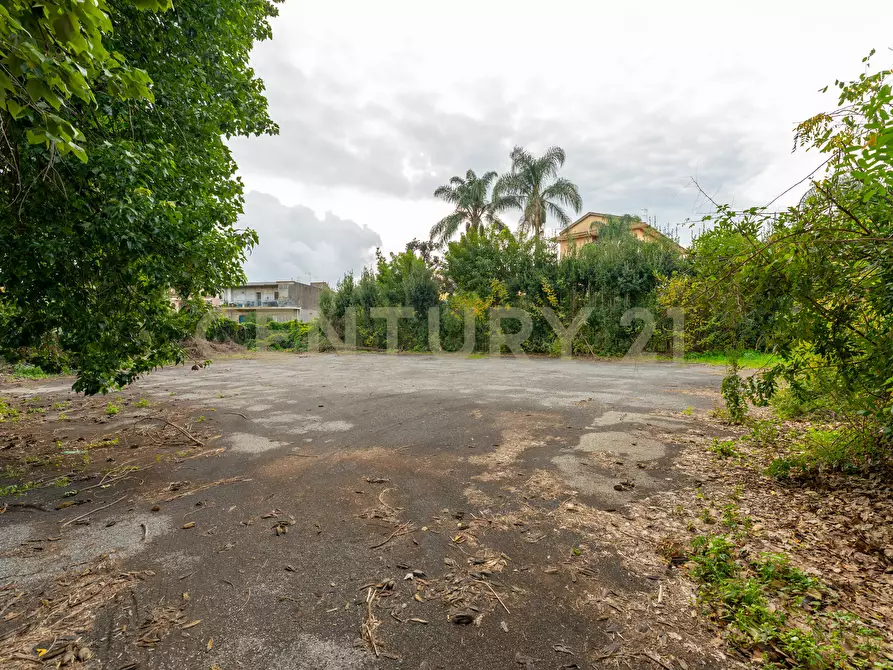 Immagine 33 di Appartamento in vendita  in Via Nuova 122 a Acireale