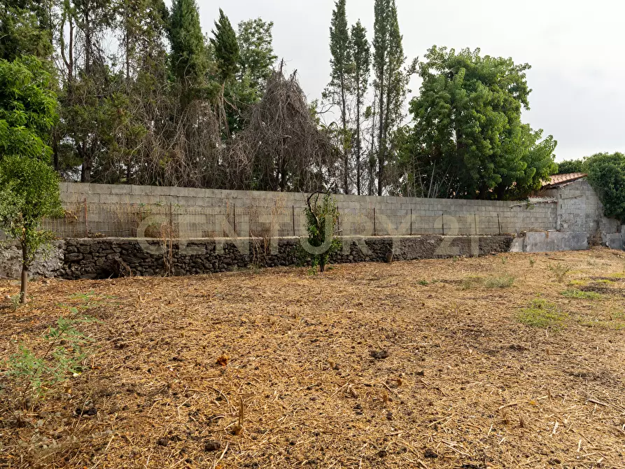 Immagine 9 di Terreno edificabile in vendita  in Via Catania 77 a San Gregorio Di Catania