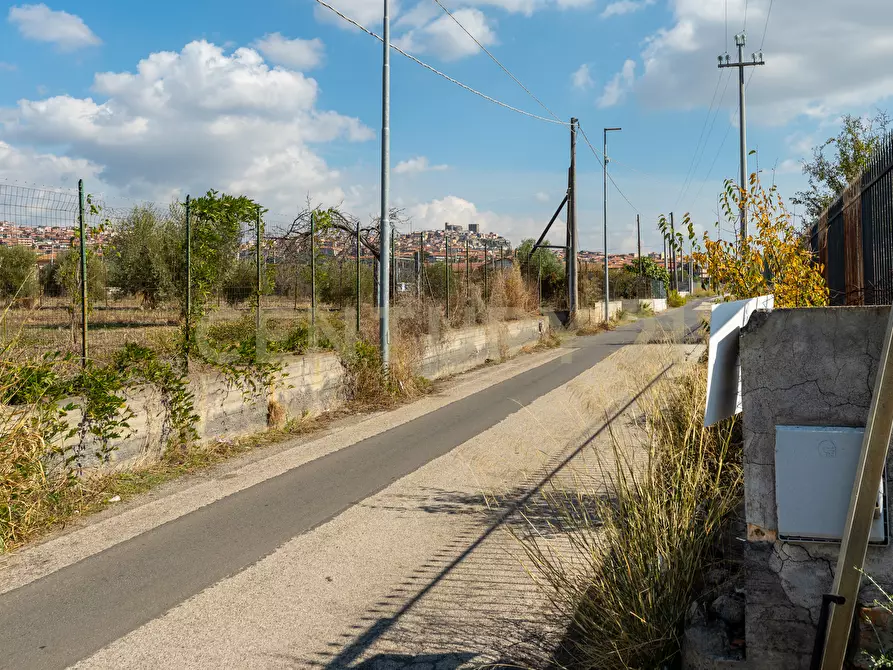 Immagine 18 di Terreno agricolo in vendita  in Via Margarone 5 a Motta Sant'anastasia