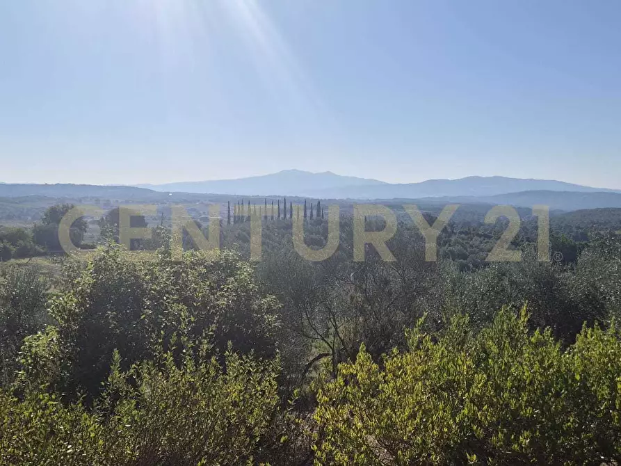 Immagine 27 di Azienda agricola in vendita  in località poggio al capraio snc a Roccastrada