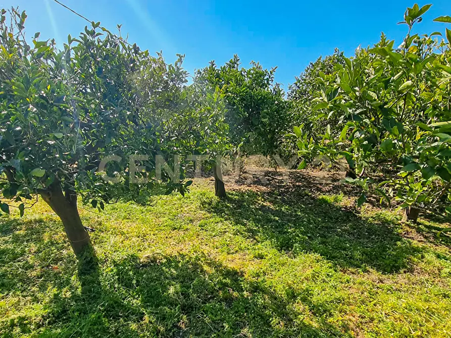 Immagine 16 di Rustico / casale in vendita  in Strada Provinciale 92 92 a Francofonte