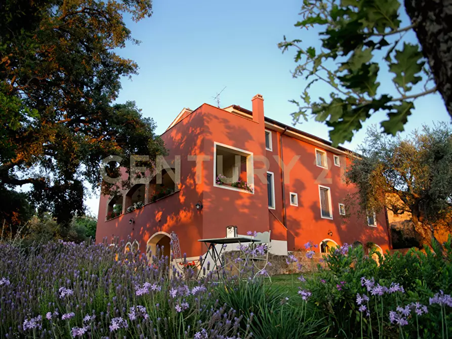 Immagine 15 di Rustico / casale in vendita  in località podere bizzarri a Scarlino