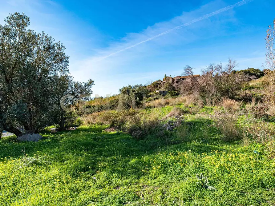 Immagine 6 di Terreno agricolo in vendita  in Via Vampolieri a Aci Castello