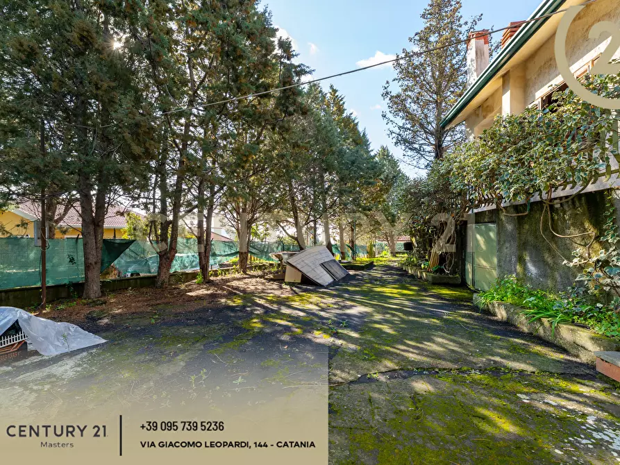 Immagine 50 di Villa in vendita  in Via Francesco Durante 11 a Pedara