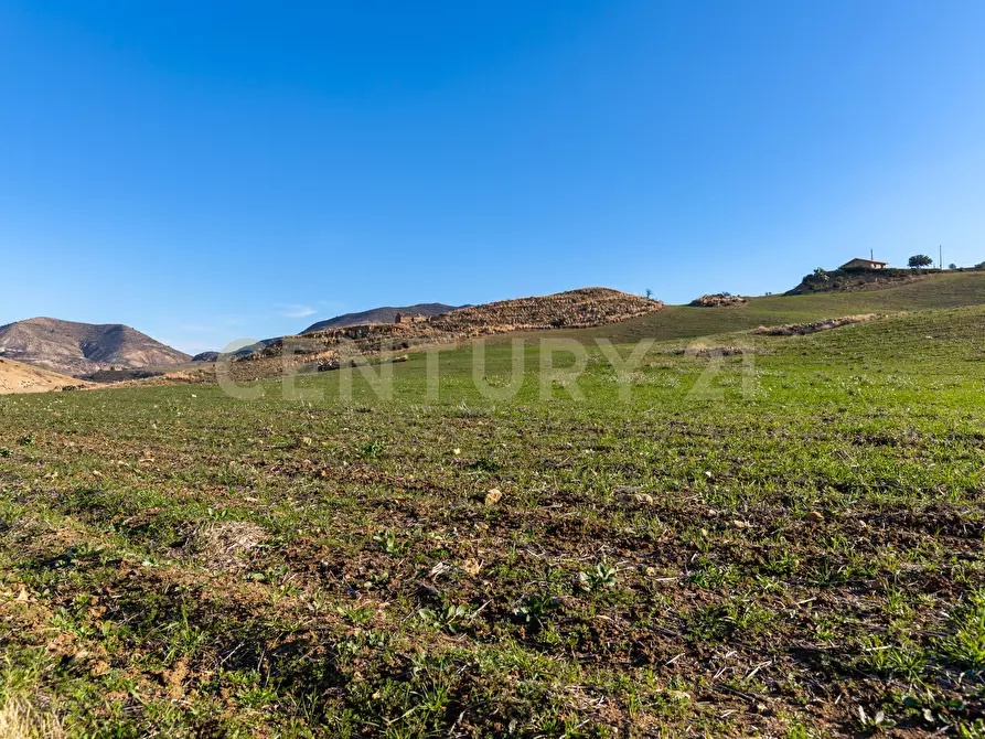 Immagine 5 di Terreno agricolo in vendita  in Strada Provinciale 23b a Centuripe
