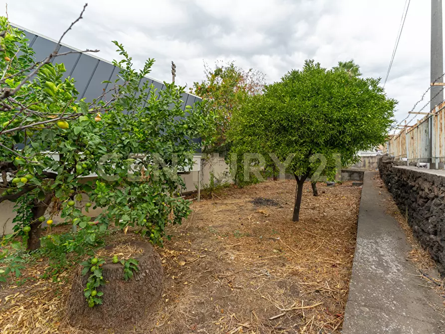 Immagine 19 di Locale commerciale in vendita  in Via Galermo 185 a Catania