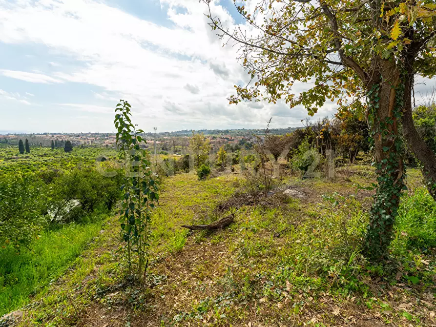 Immagine 30 di Terreno agricolo in vendita  in via giuseppe zinghirino 1 a Giarre