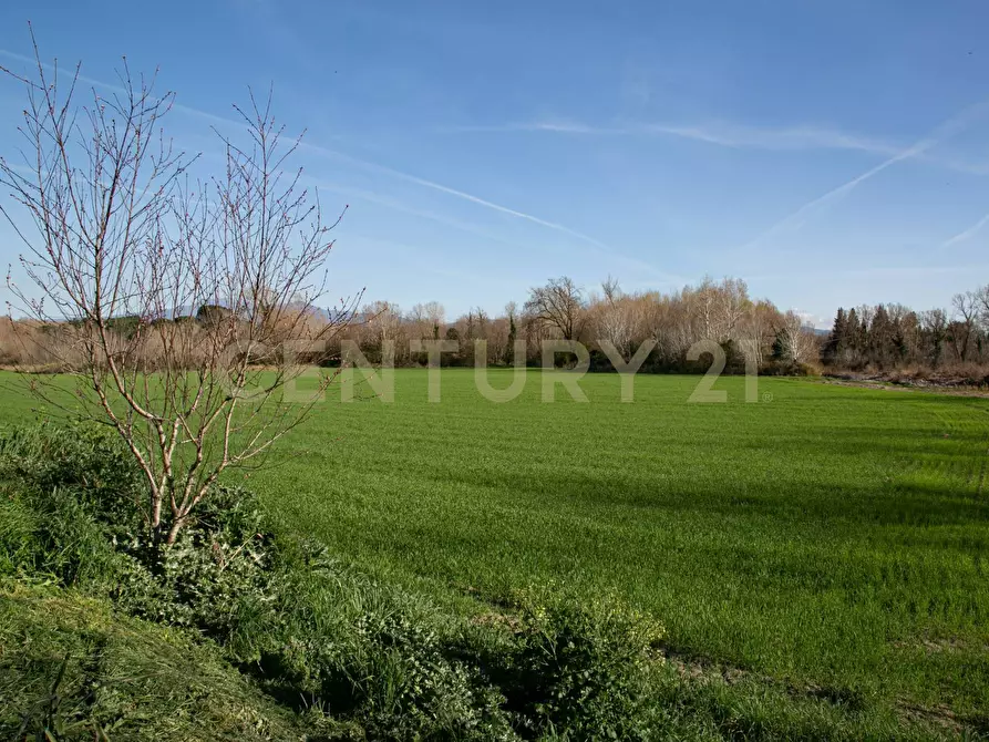 Immagine 24 di Rustico / casale in vendita  a Civitella Paganico