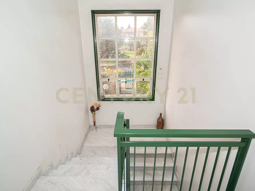 Immagine 2 di Quadrilocale in vendita  in Via delle Ginestre snc a Pedara