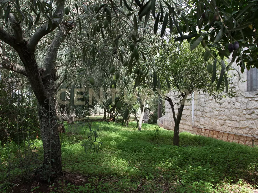 Immagine 14 di Villa in vendita  in Ctr. Pirato Cava Maria 37 a Modica