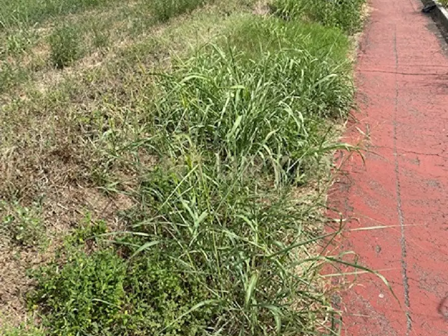 Immagine 7 di Terreno industriale in vendita  in Via le Cassere a Oppeano