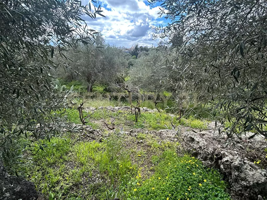 Immagine 21 di Terreno edificabile in vendita  in Viale Giovanni Falcone 9 a Camporotondo Etneo