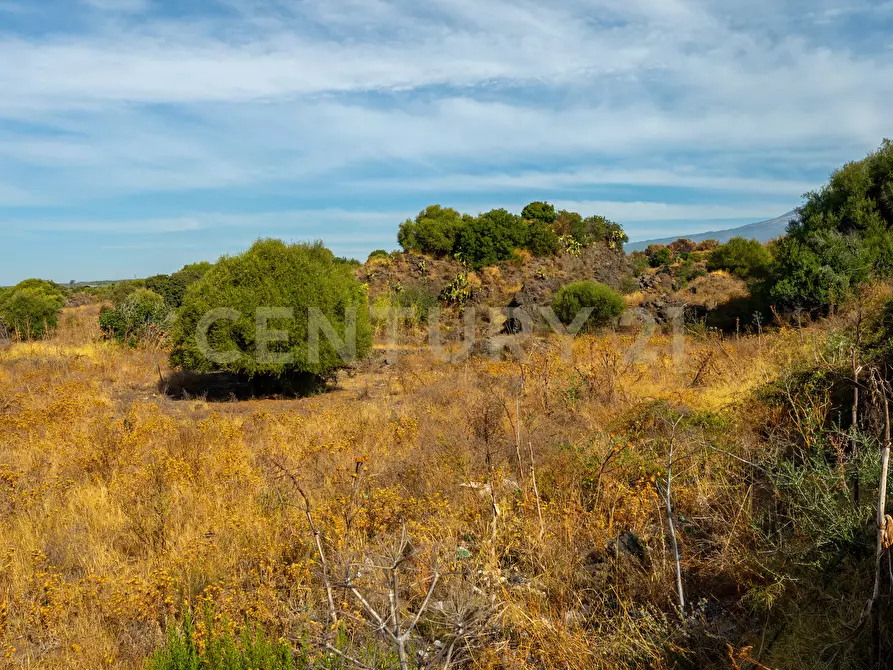 Immagine 5 di Terreno industriale in vendita  in Vicinanze DAIS a Belpasso