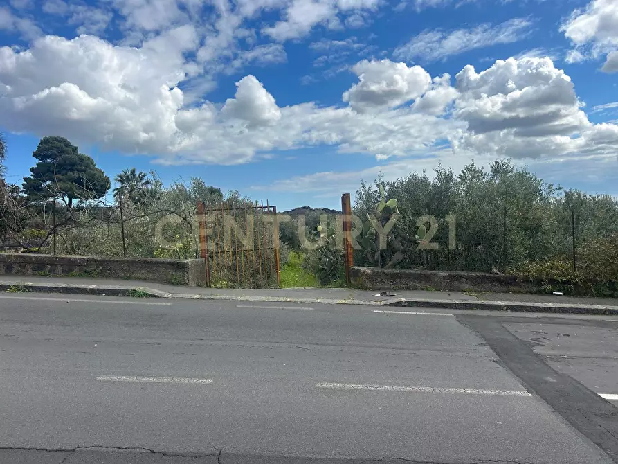 Immagine 37 di Terreno edificabile in vendita  in Viale Giovanni Falcone 9 a Camporotondo Etneo