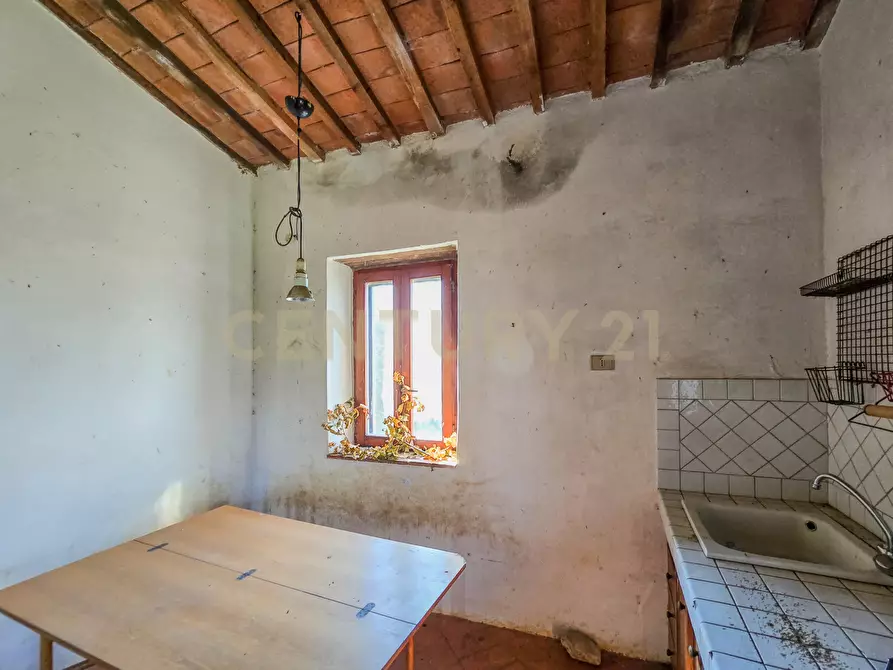 Immagine 23 di Rustico / casale in vendita  in Vial podere nuovo snc a Civitella Paganico