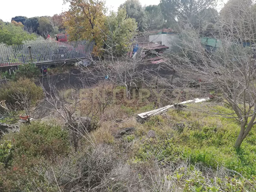 Immagine 6 di Terreno edificabile in vendita  in Contrada Regala Regaridda a Nicolosi