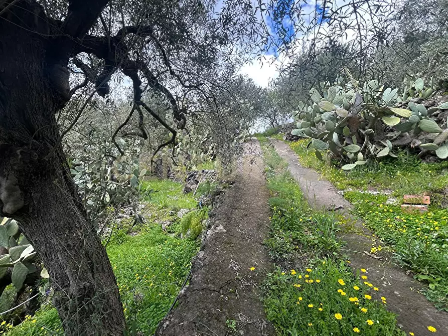 Immagine 28 di Terreno edificabile in vendita  in Viale Giovanni Falcone 9 a Camporotondo Etneo