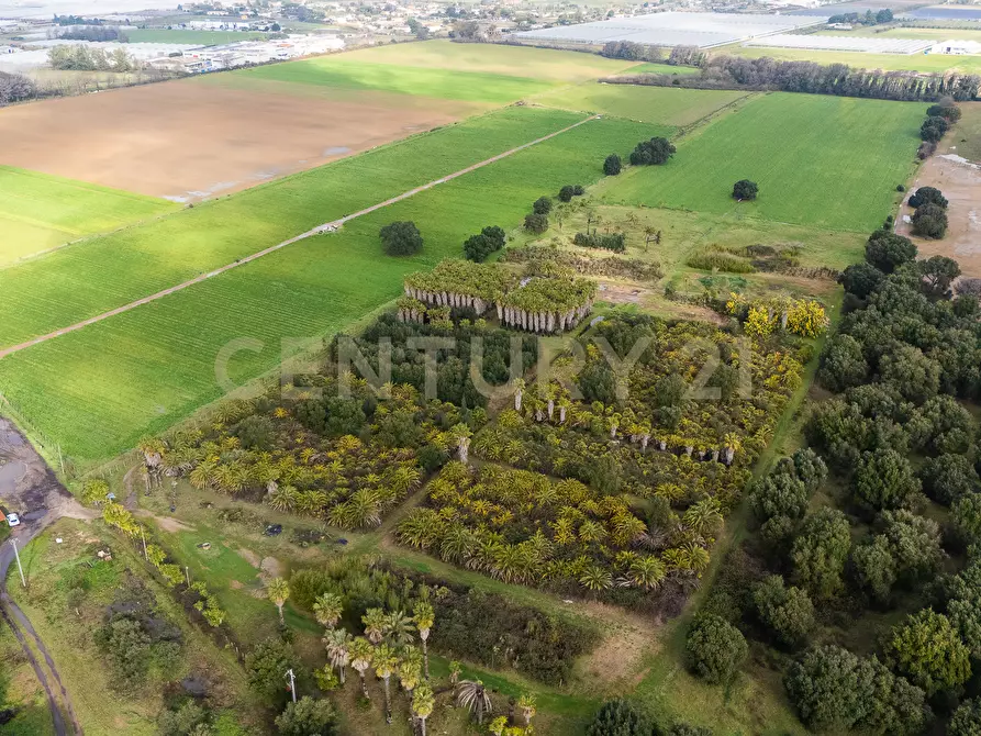 Immagine 9 di Terreno agricolo in vendita  in Via Lerici a Nettuno