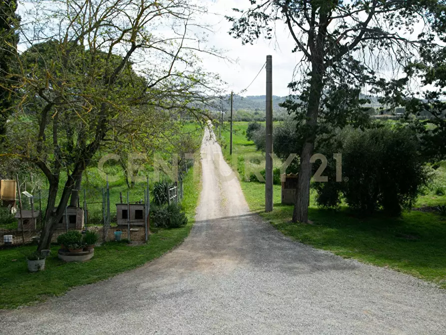 Immagine 18 di Rustico / casale in vendita  a Civitella Paganico