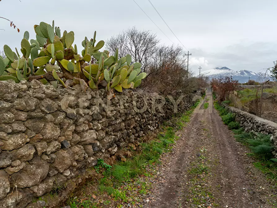 Immagine 8 di Terreno agricolo in vendita  in Via Santa Maria di Licodia a Belpasso