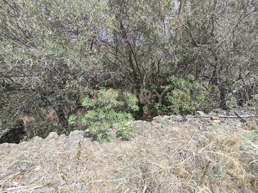 Immagine 16 di Terreno agricolo in vendita  in CONTRADA MANGIONE snc a Catania