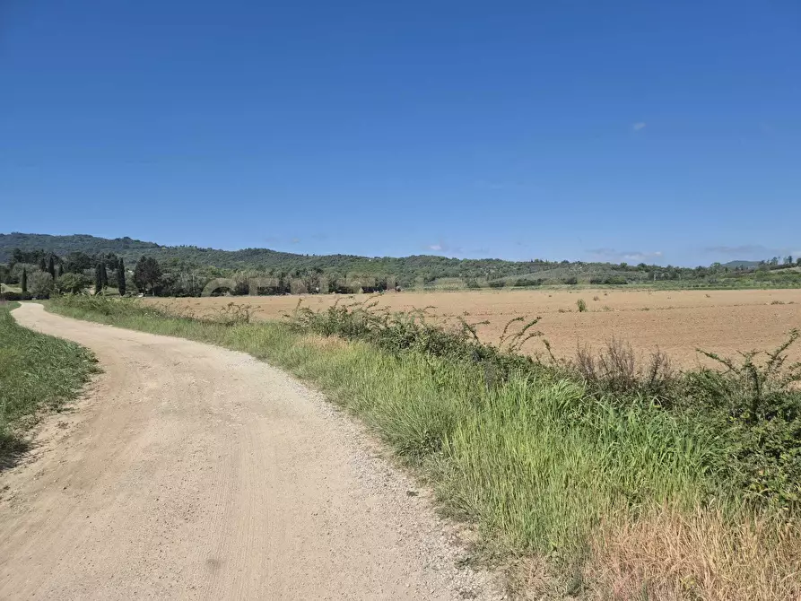 Immagine 8 di Terreno agricolo in vendita  in loc. Badia Vecchia a Castiglione Della Pescaia
