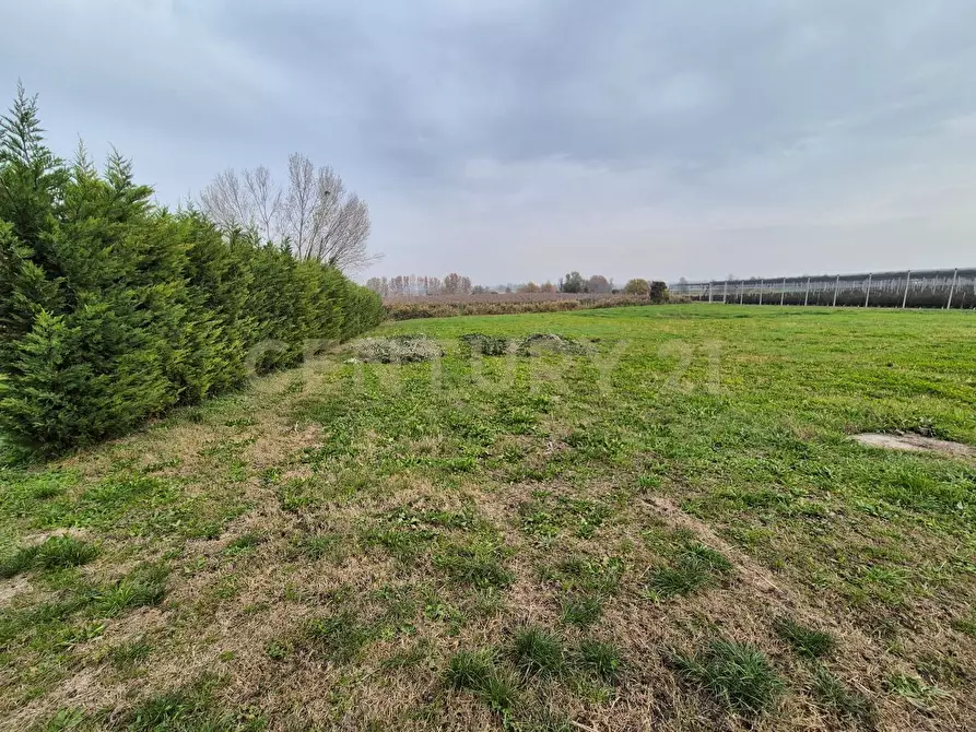 Immagine 13 di Palazzo in vendita  in Via Sasse snc a Verona