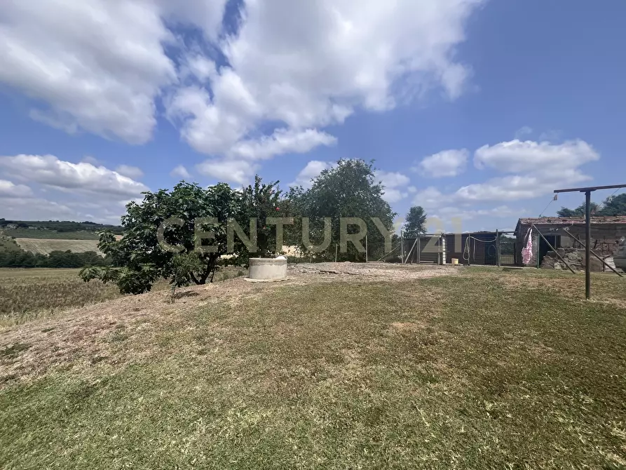 Immagine 16 di Rustico / casale in vendita  in Via Case Sparse a Scansano