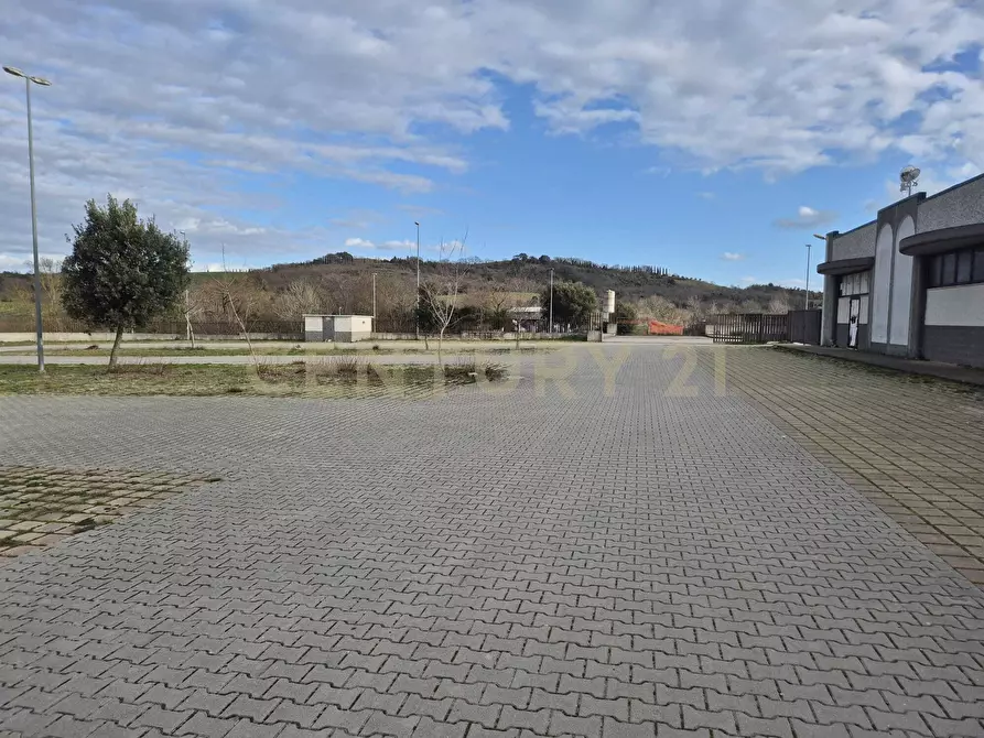 Immagine 22 di Locale commerciale in vendita  in Cerro Sughero a Campagnatico