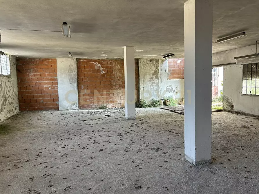 Immagine 7 di Casa indipendente in vendita  in Via Giacomo Puccini 5 a Oppeano