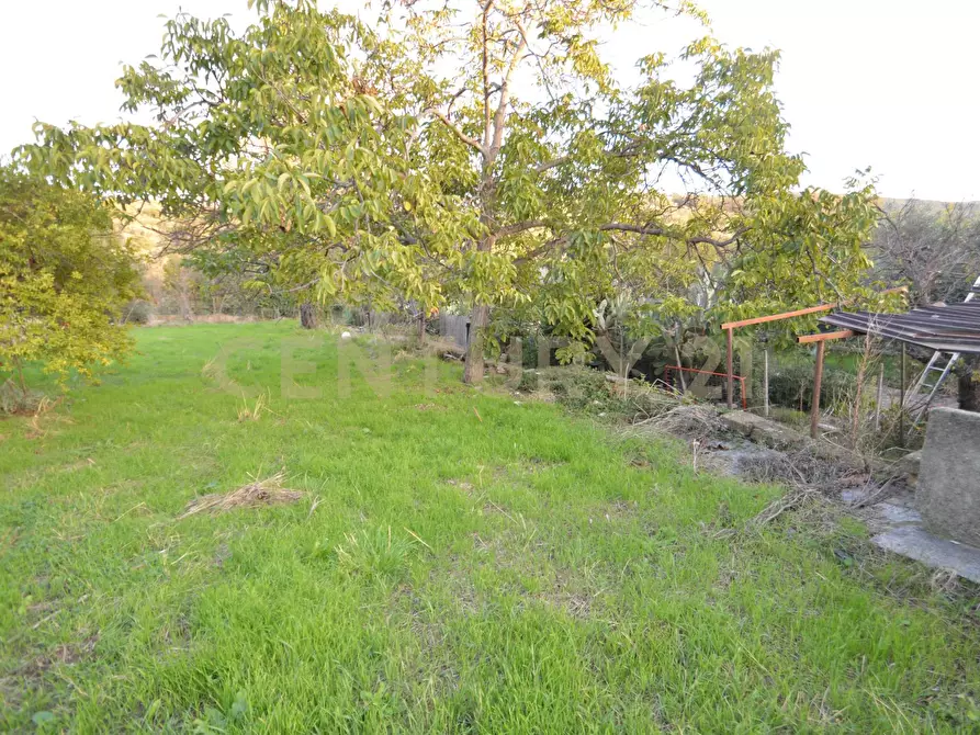 Immagine 35 di Villetta a schiera in vendita  a Grosseto