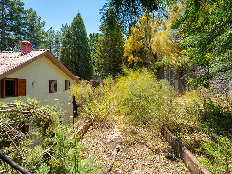 Immagine 24 di Villa in affitto  in Strada Regionale Mareneve SNC a Linguaglossa