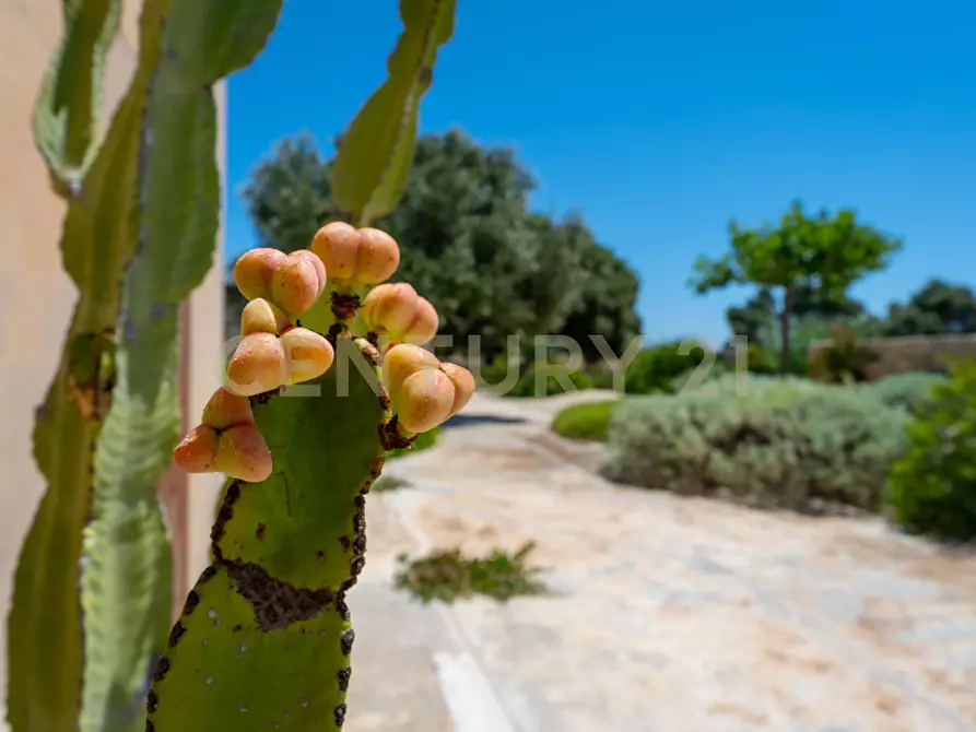 Immagine 44 di Villa in vendita  in Contrada Pagliarello snc a Portopalo Di Capo Passero